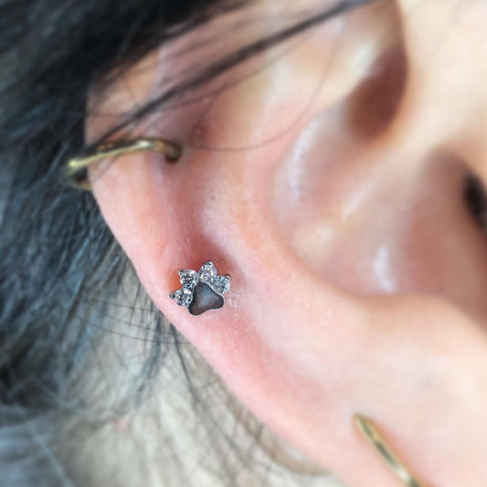 Zampina in titanio con zirconi Cz