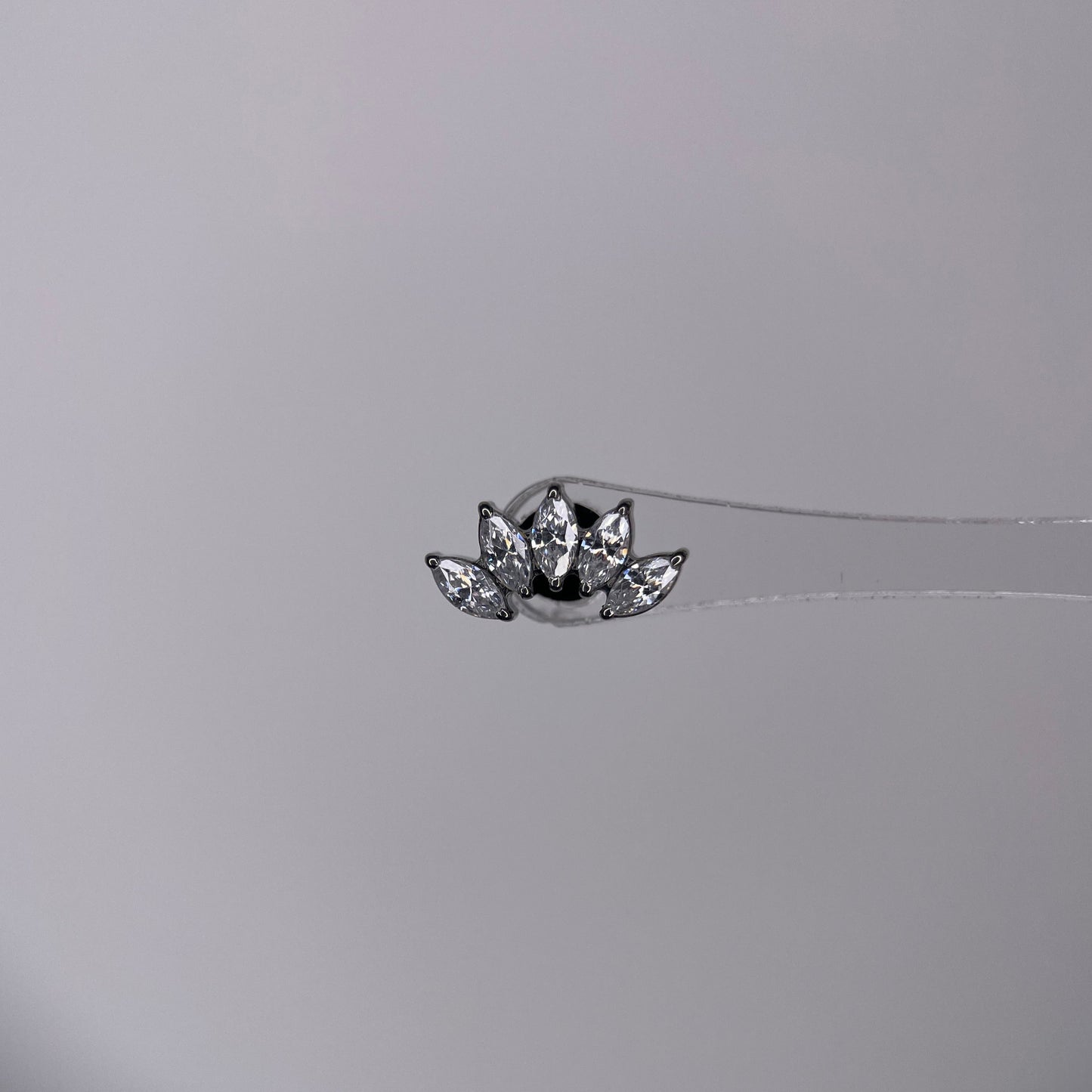 Marquise 5 CZ