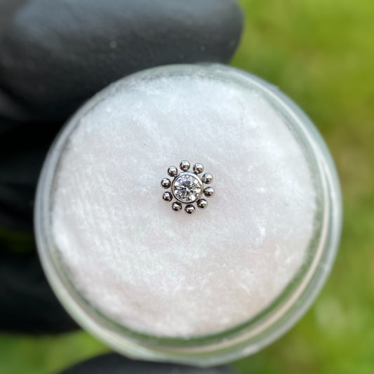 Anemone zircone