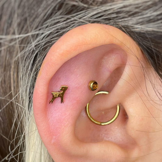 Bambi in titanio (gold PVD)